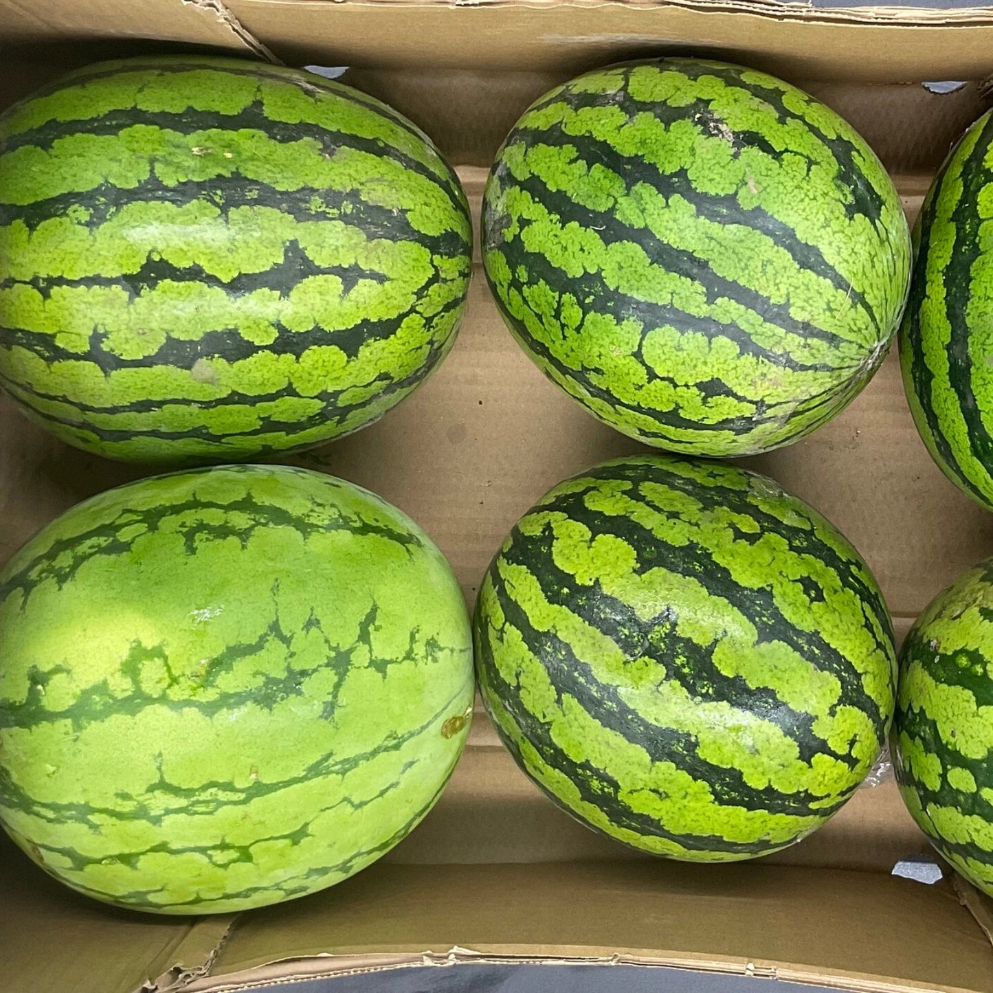 Organic Dried Watermelon Slices - 100% Natural Pure Premium Quality!