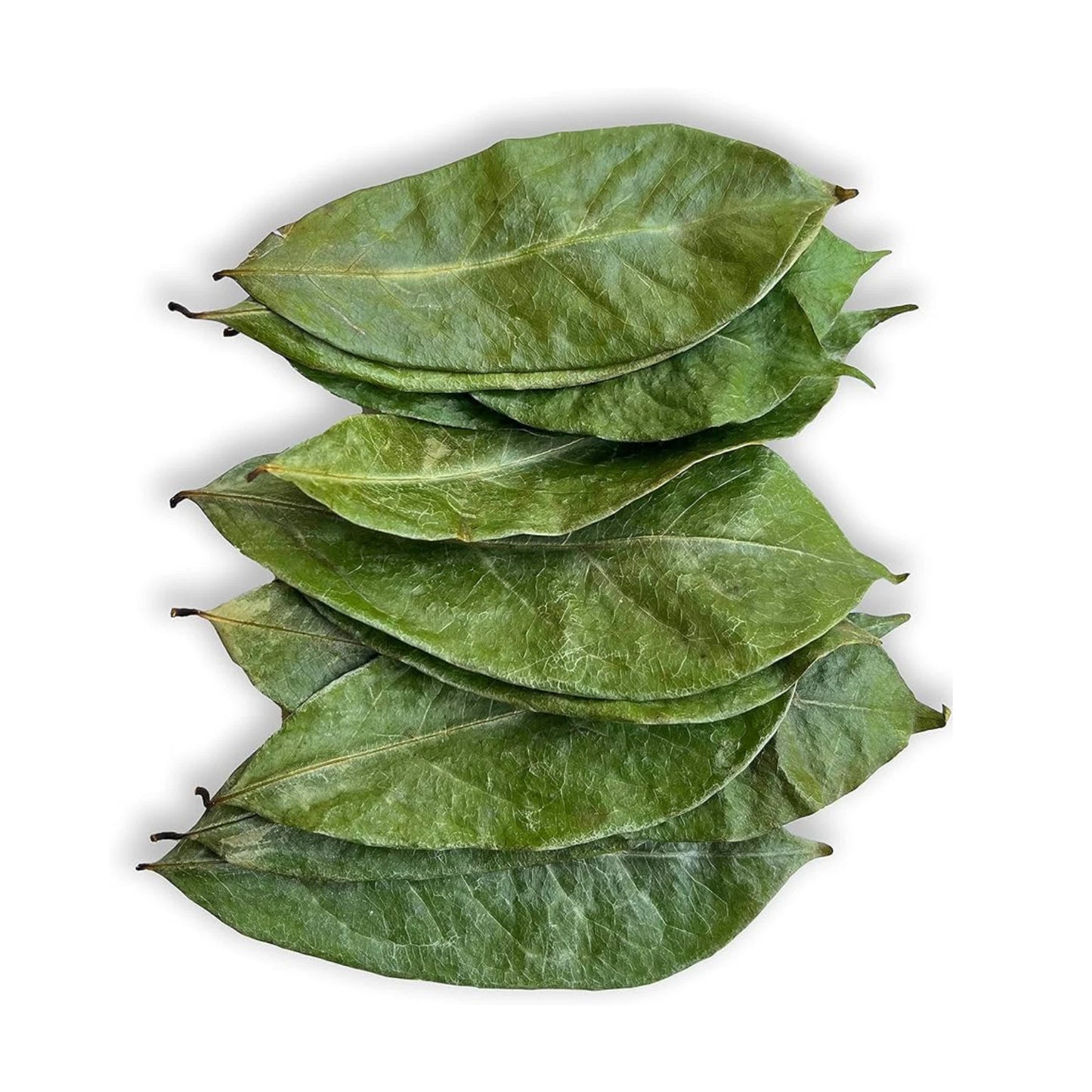 25 - 300 Dried Soursop Leaves Healthy leaf Organic Pure Grade A Quality Leaves